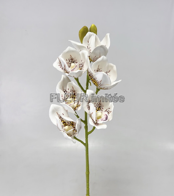 Orchidea 69cm  24/120