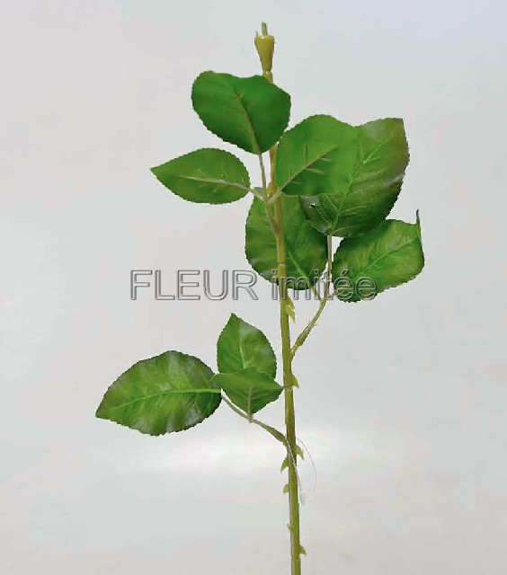 Stonek růže 58cm 96/576