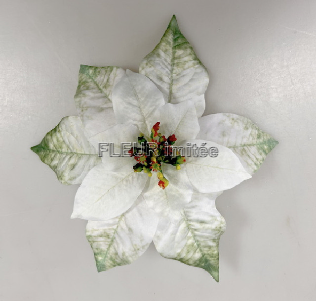 Květ poinsettia 20cm 12/240