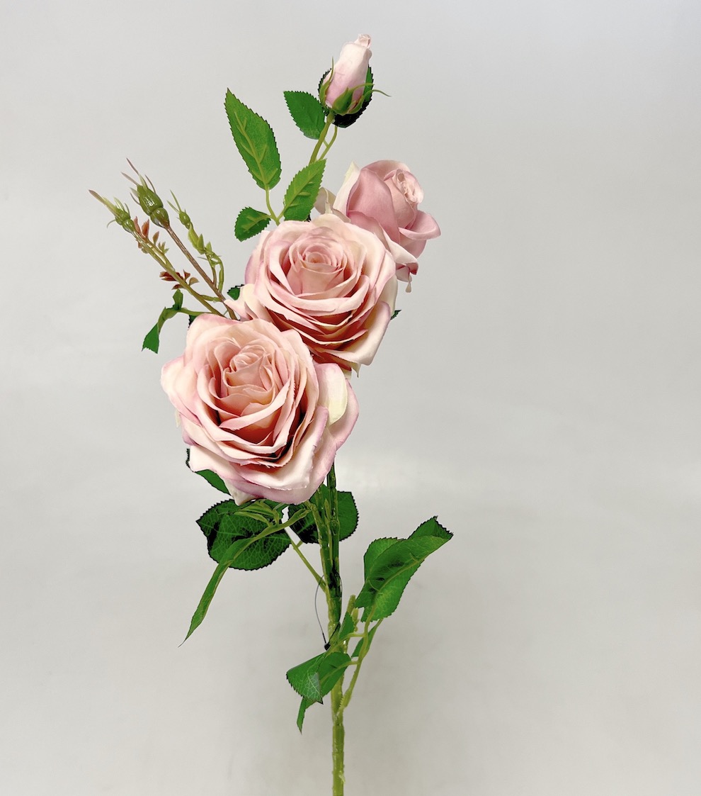 Růže x4 79cm SUN880 18/180