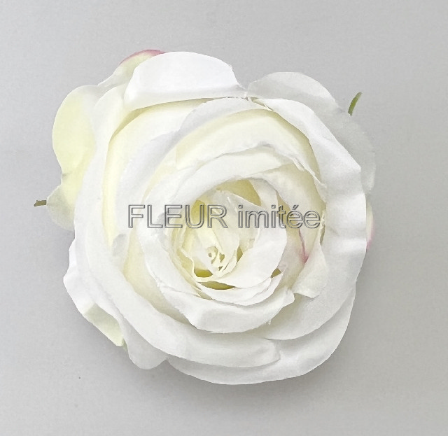 Květ růže  Tiamo 8cm 12/240