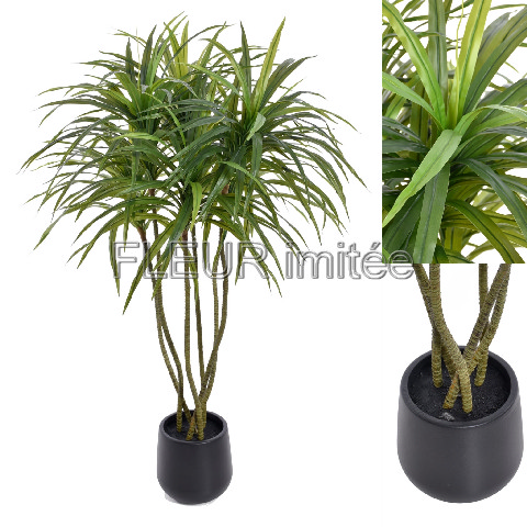 Dracena 145cm vč.květníku
