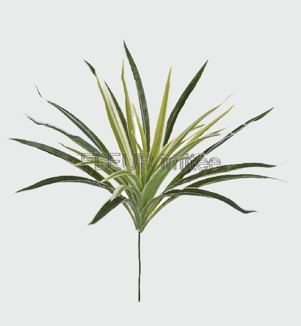 Zelenec 40cm  24/192