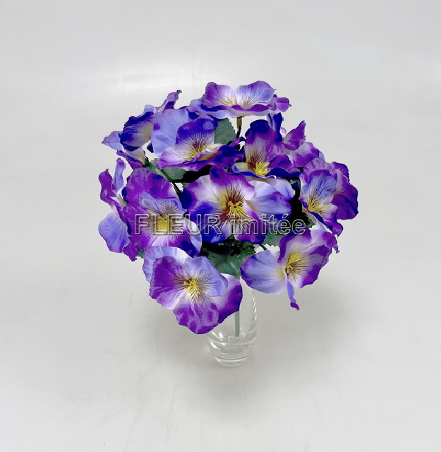 Maceška x7 24cm 12/144