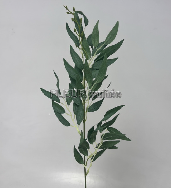 Ruscus 60cm 12/480