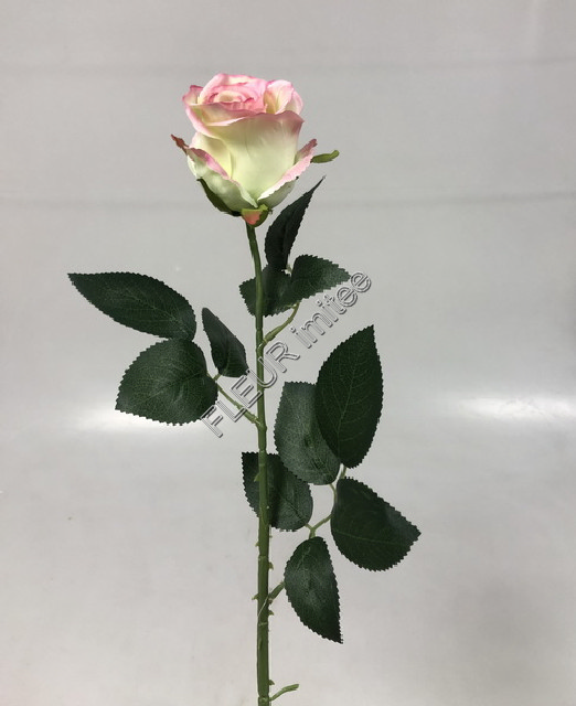 Růže x1 72cm A004  48/240