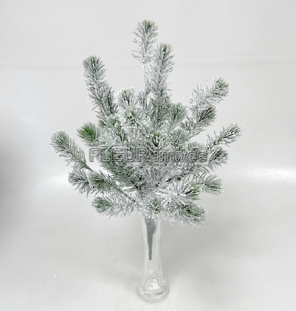 Chvojí  zasněž.x5 50cm 4/40