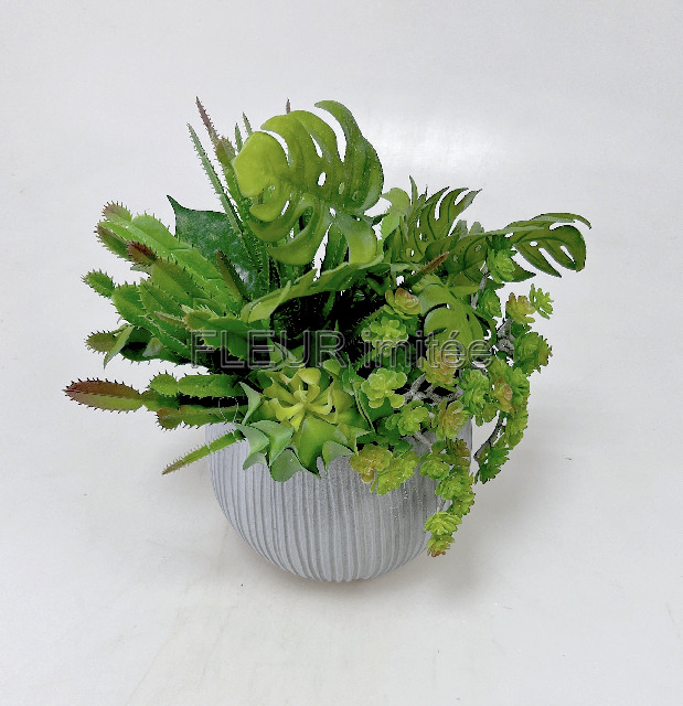 Dekorace sukulenty 28x28cm vč.květníku