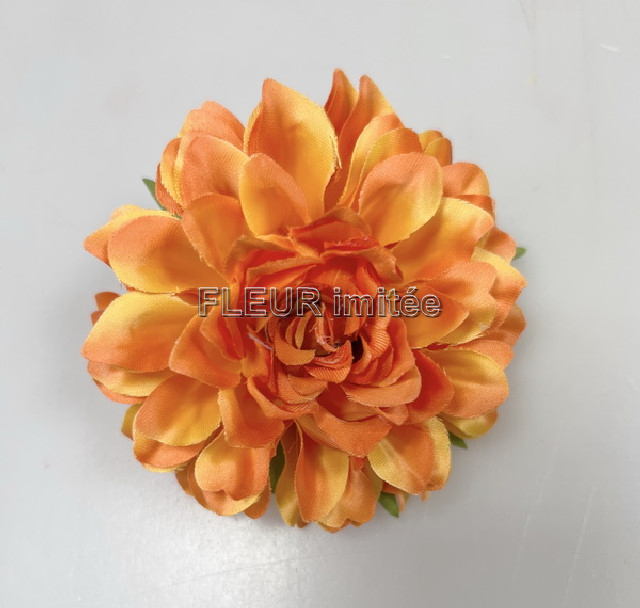 Květ jiřina 8cm 12/600