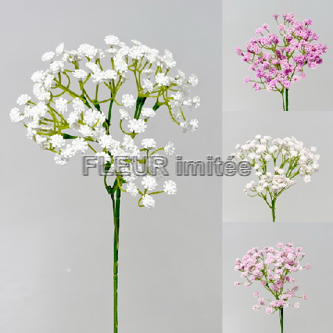 Gypsophila latex 60cm S455 12/96