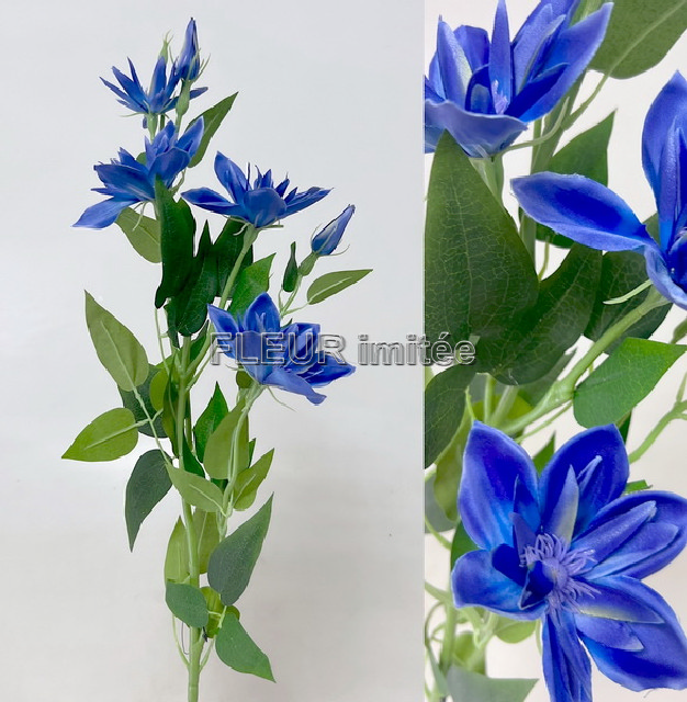 Clematis x7 82cm S508 36/360