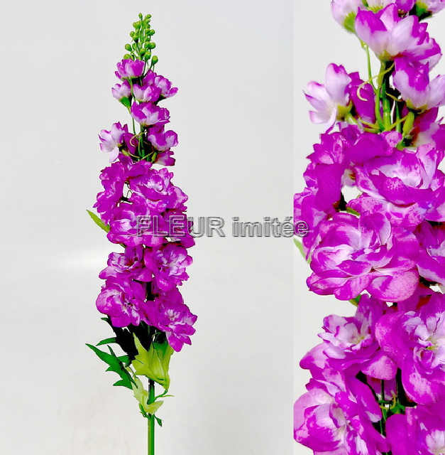 Delphinium 70cm S498  24/288