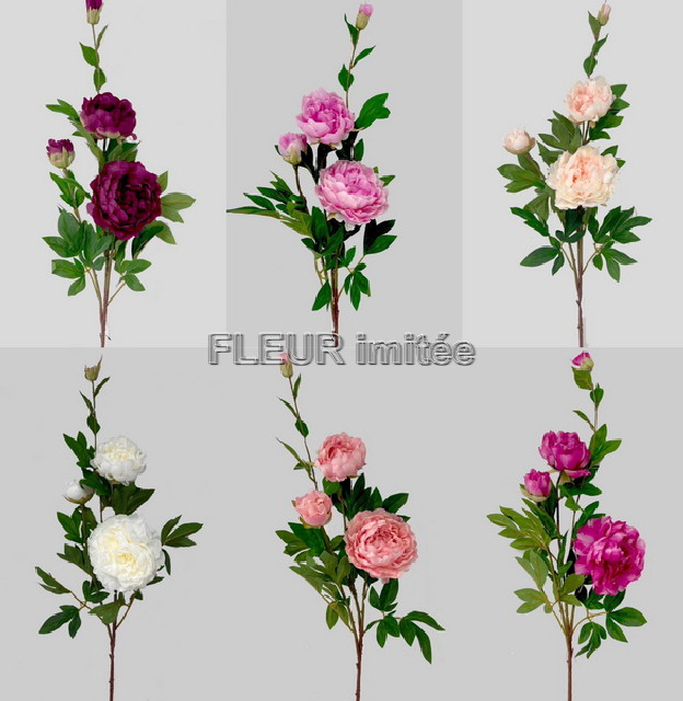 Pivoňka x5 110cm 24/144