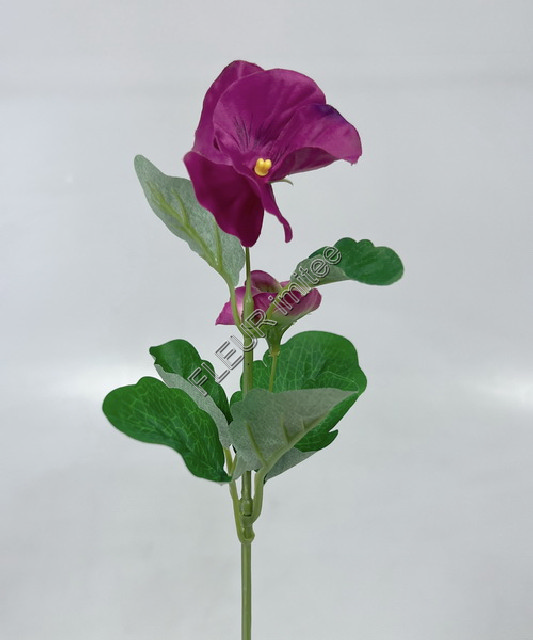 Maceška záp.20cm 12/240