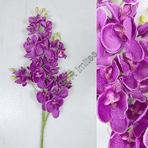 Orchidea x4 70cm  48/240