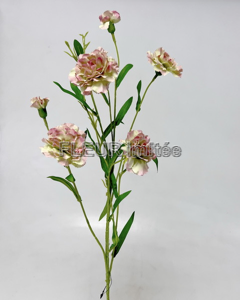 Karafiát mini x6 72cm  36/360