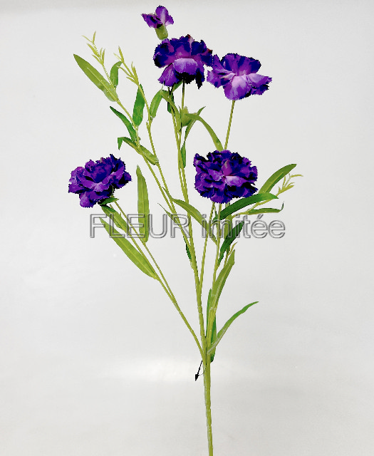 Karafiát mini x6 72cm  36/360