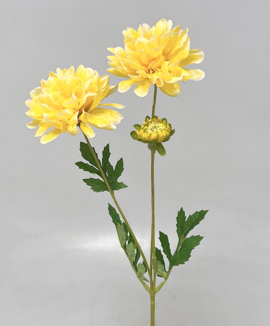 Chryzantéma x3 55cm 6/144