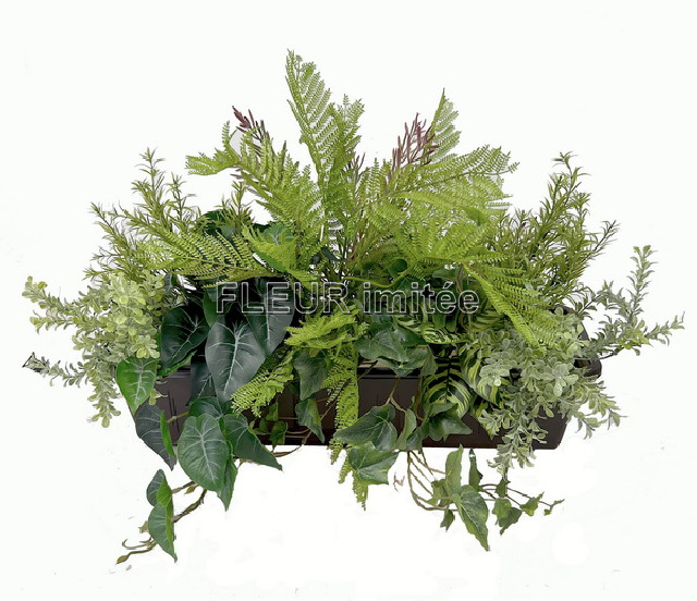 Truhlík kapradí 60x38cm