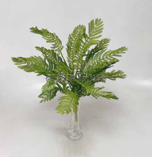 Kapradí x12 56cm 36/216