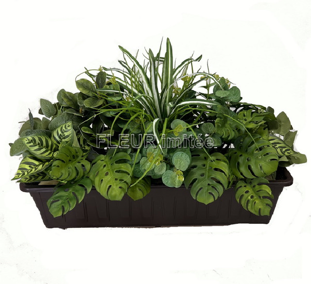 Truhlík mostera  60x36cm