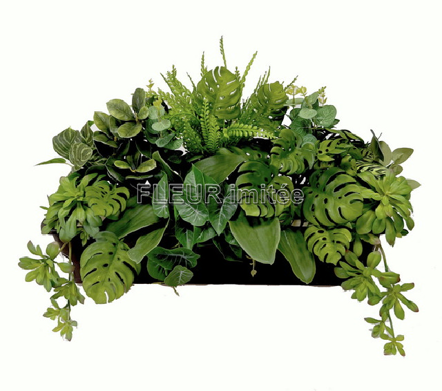 Truhlík mostera  60x36cm