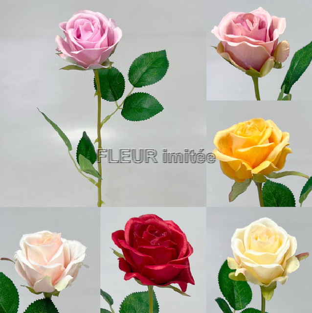Růže ART II  55cm  12/144