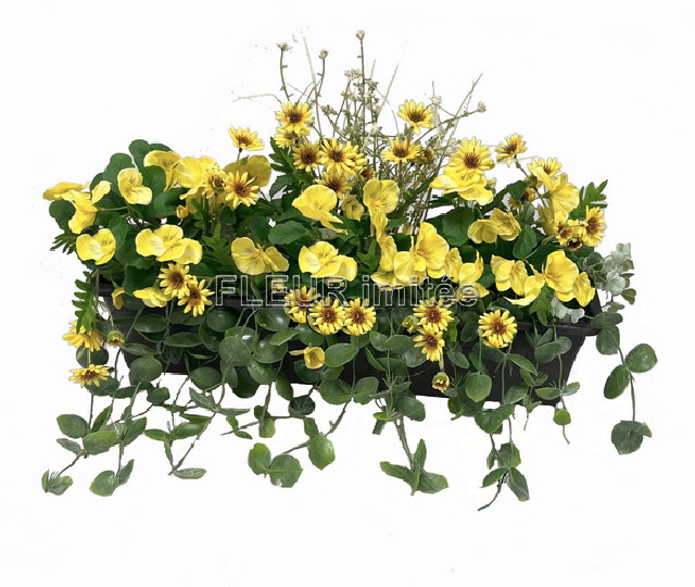 Truhlík maceška 60cm