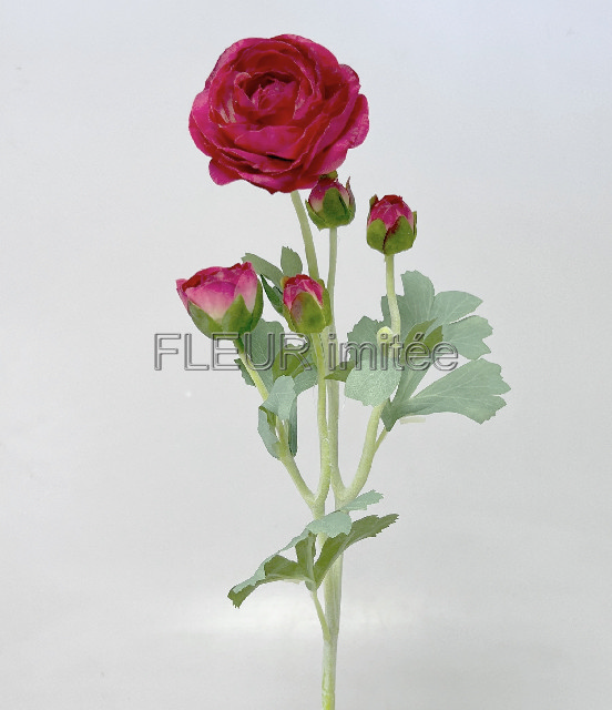 Ranunculus x5 52cm 12/120