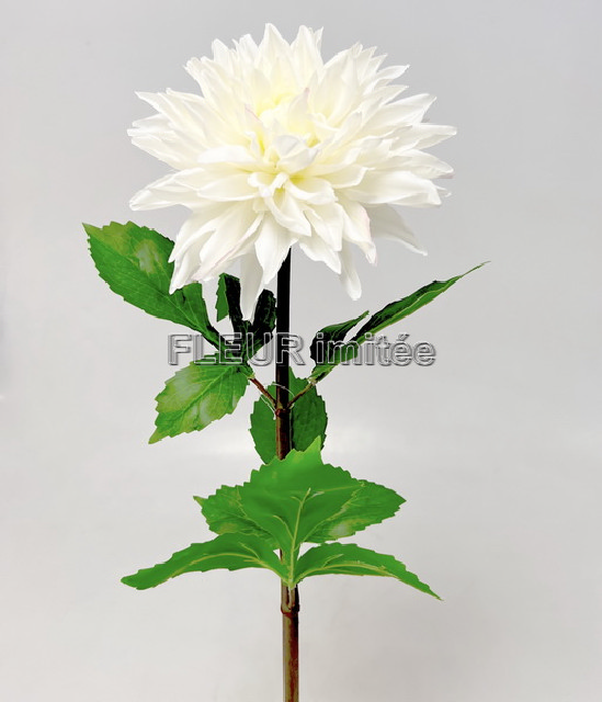 Jiřina x1 70cm Real Touch 12/96