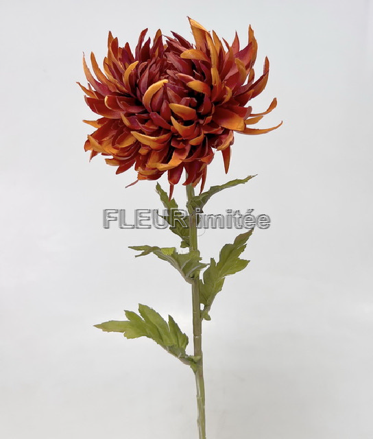 Jiřina x1 70cm Real Touch 12/96