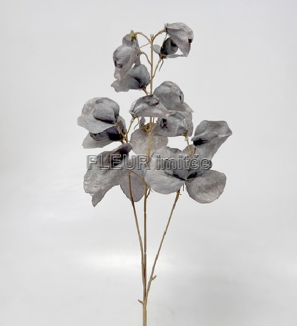 Eukalypt  x3  74cm 24/192