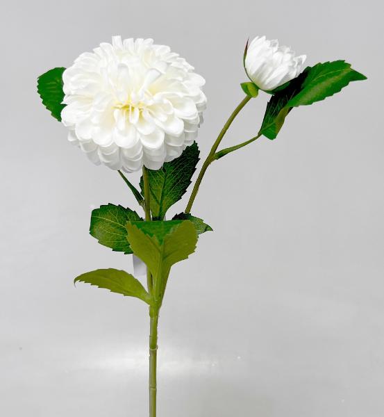 Jiřina  x2 63cm  24/240