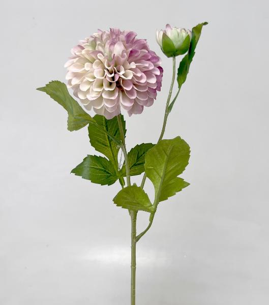 Jiřina  x2 63cm  24/240