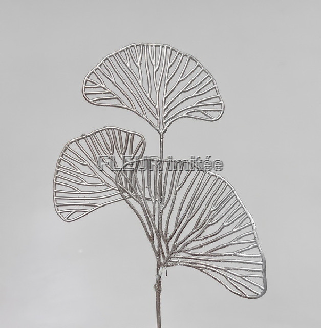 Ginkgo ván.30cm 36/360