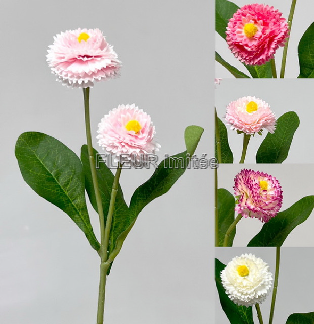 Sedmikráska x2 32cm  10/120