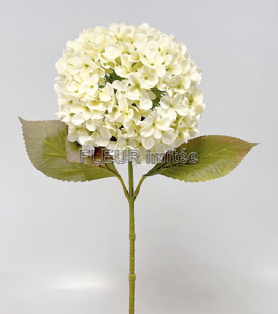 Hortenzie x1 86cm 12/96