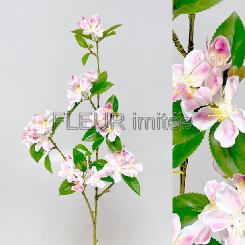 Jabloňový květ 90cm 12/96