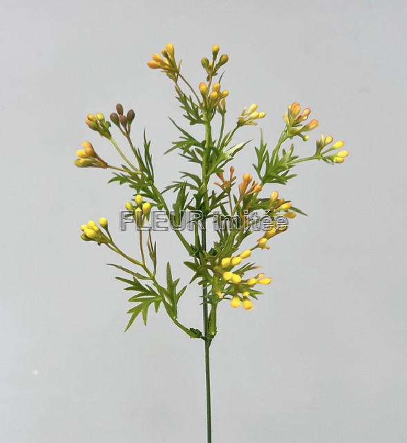 Bobulky záp. 48cm 12/144