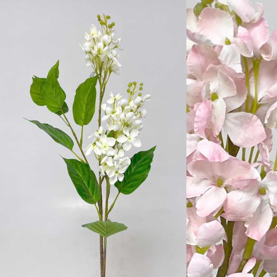 Šeřík x2 75cm 24/192