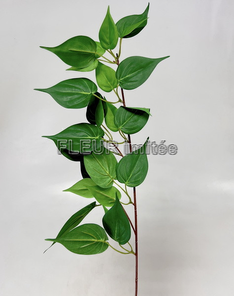 Philo větev 78cm 72/360