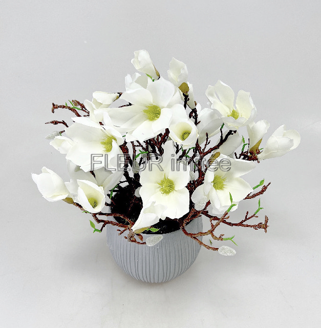 Magnolie v květníku 35x35cm