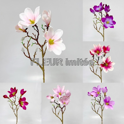 Magnolie 60cm 36/180