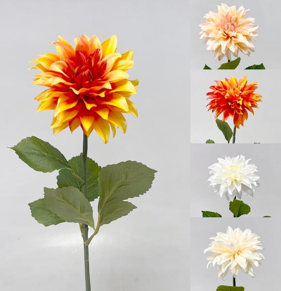 Jiřina x1 70cm 24/192