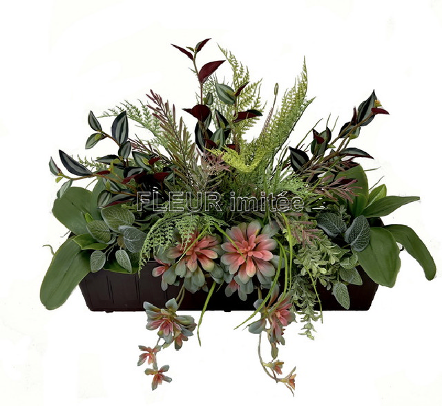 Truhlík sukulenty 60x40cm