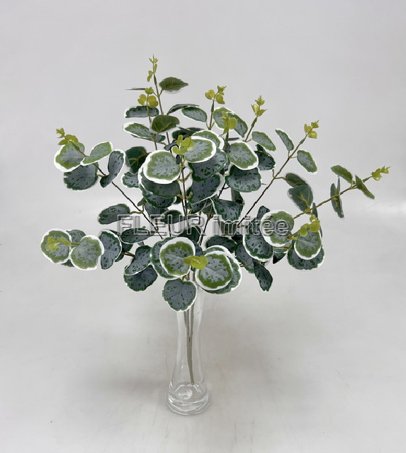 Eukalypt x4 52cm 1/48