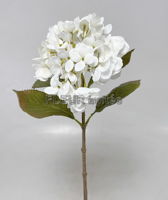 Hortenzie 68cm 12/96