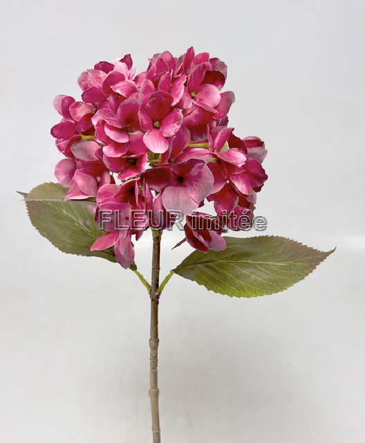 Hortenzie 68cm 12/96