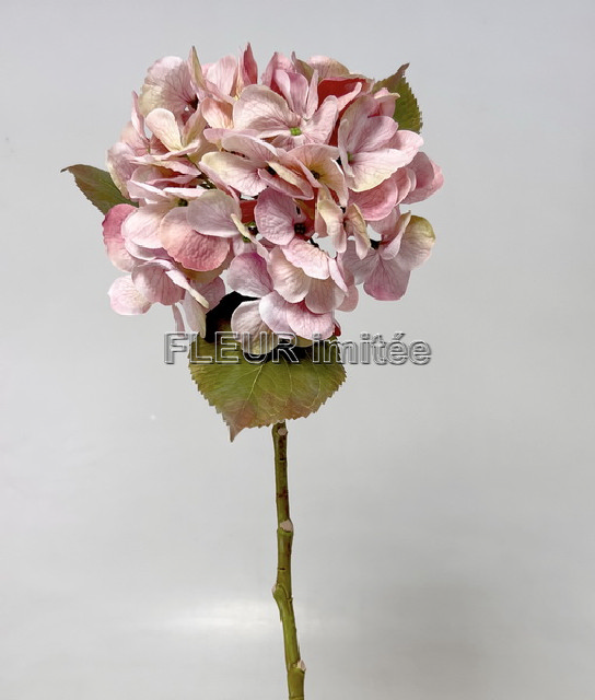 Hortenzie x1 48cm 24/192