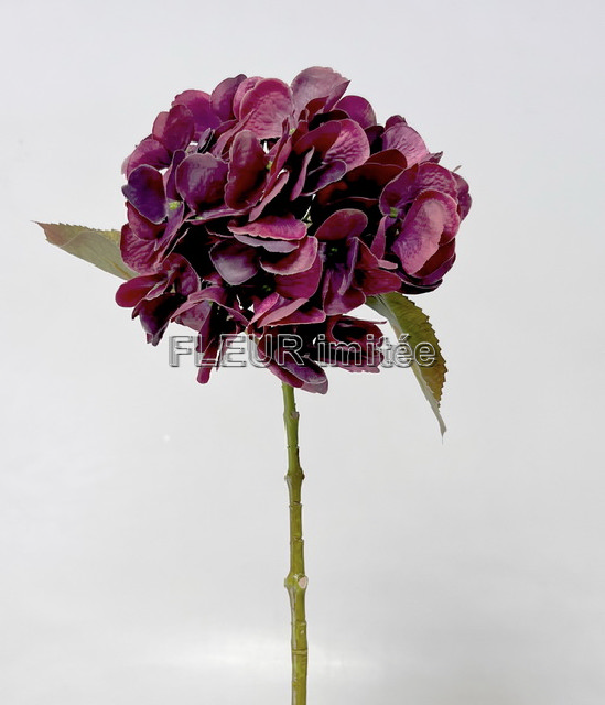 Hortenzie x1 48cm 24/192